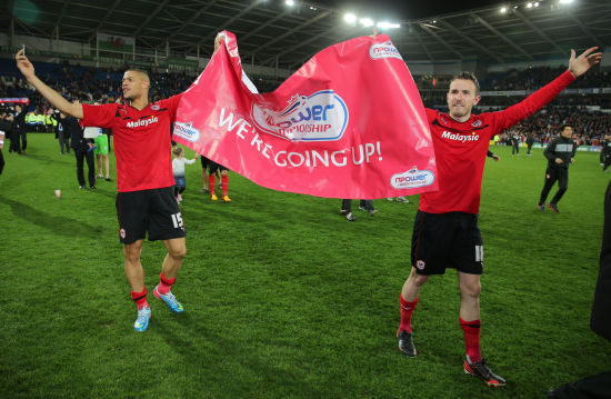 球迷的最诚 球迷的最诚