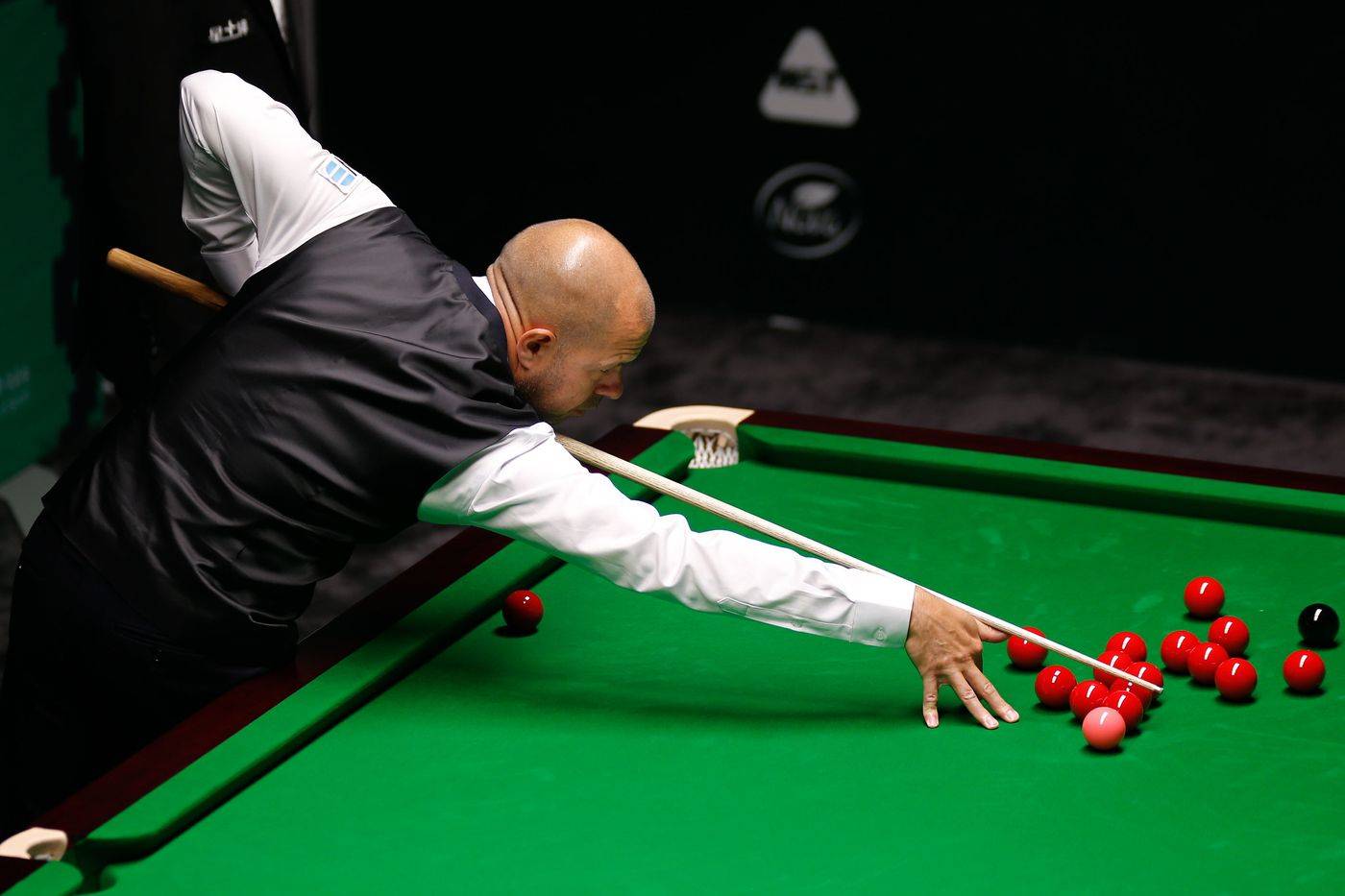 面均占据显 面均占据显