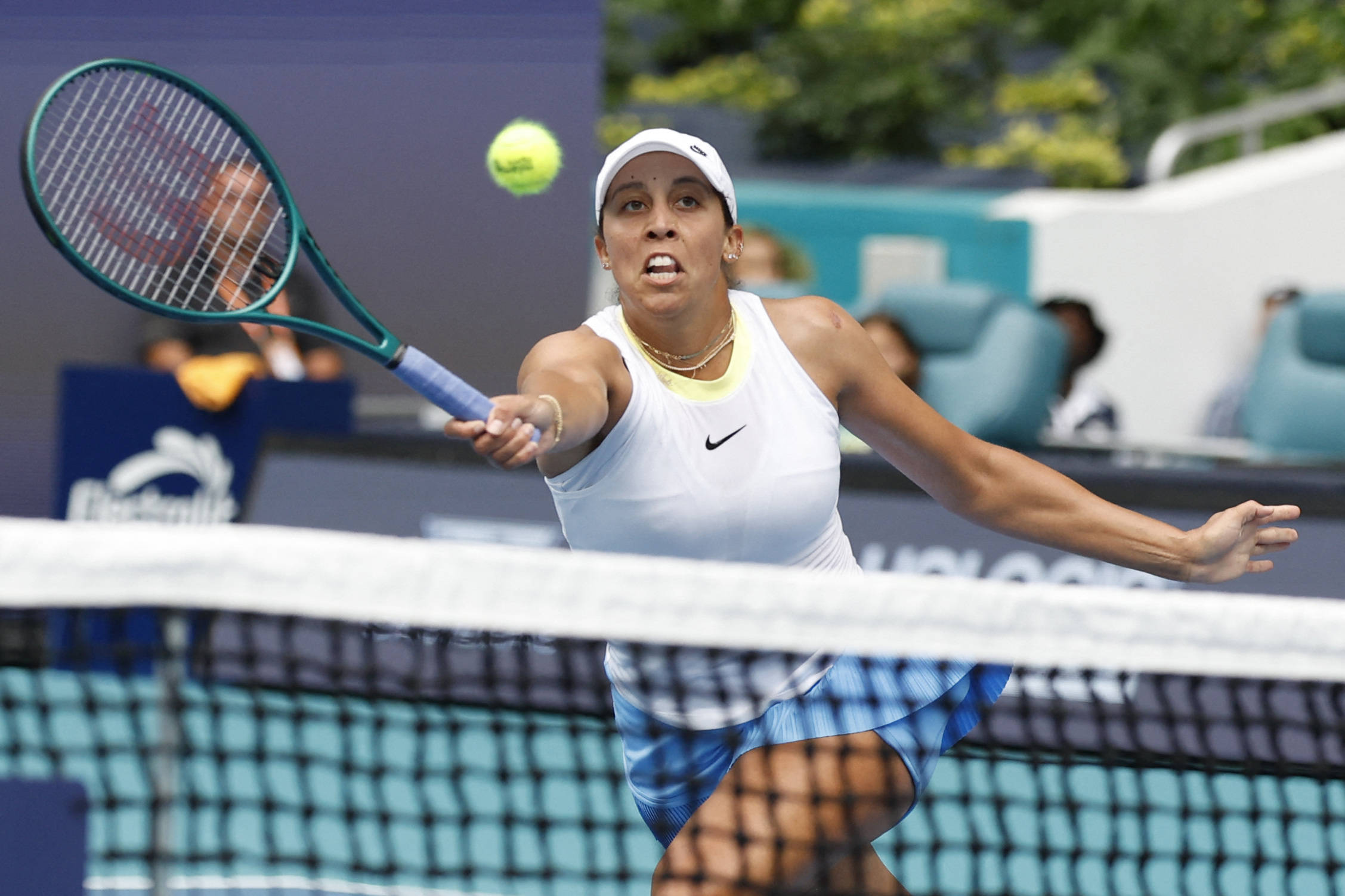 在众多羽毛 在众多羽毛