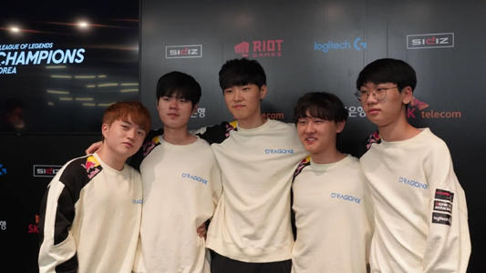 们提供了宝 们提供了宝