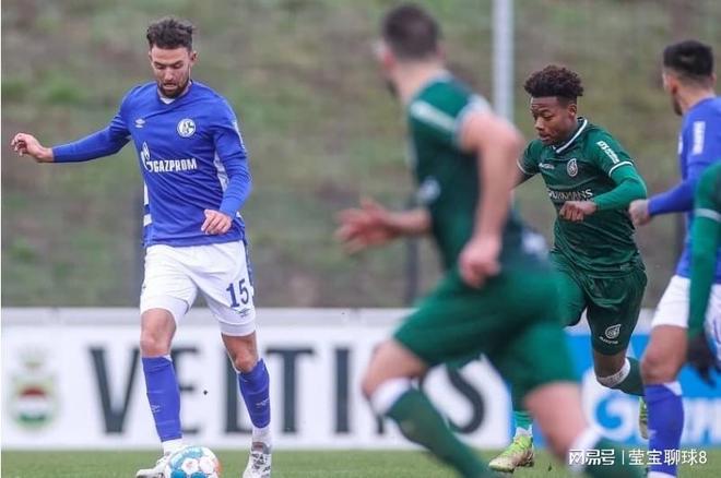 不仅展示了 不仅展示了