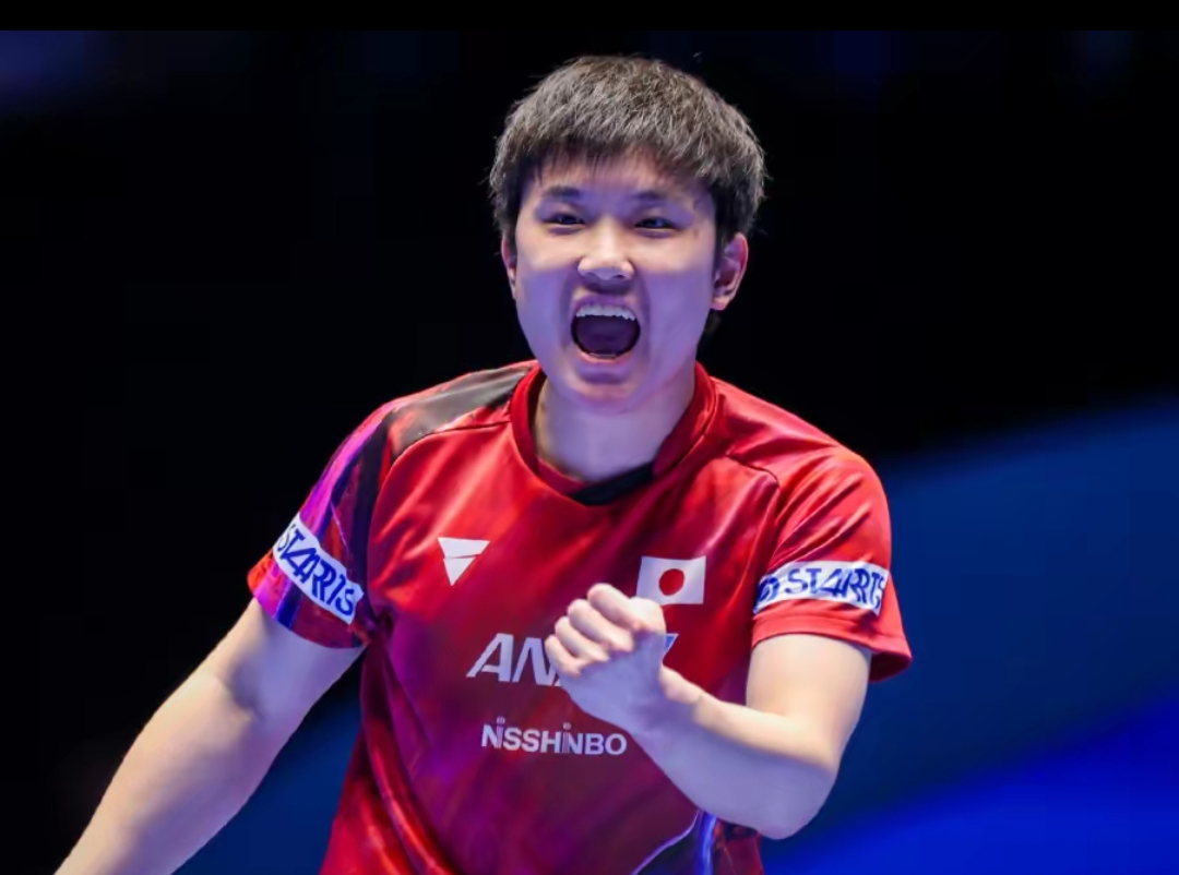 安德鲁斯的 安德鲁斯的